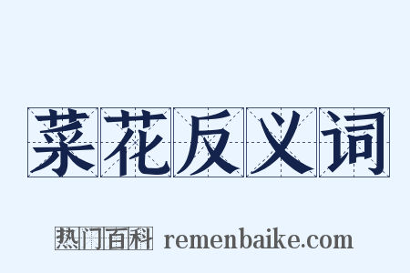 菜花反义词是什么意思的图片